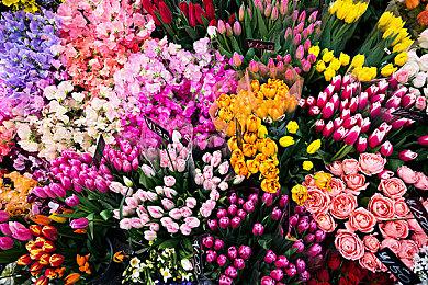 《欢迎光临！塔麻歌子开心镇》公布基础玩法宣传片